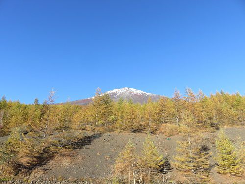 富士山須走口五合目、紅葉【小山町】：富士山Part3