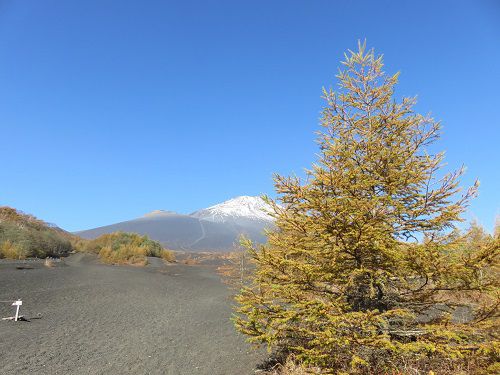 富士山御殿場口五合目、紅葉【御殿場市】：富士山と紅葉景色（見頃）