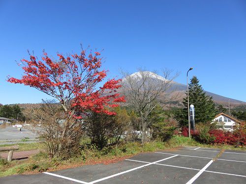 水ヶ塚公園駐車場からの富士山【裾野市】：赤の紅葉