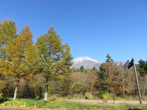 水ヶ塚公園駐車場からの富士山【裾野市】：紅葉時期の木々の彩り