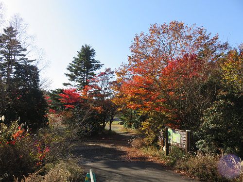 水ヶ塚公園駐車場からの富士山【裾野市】：ふれあい広場の紅葉景色