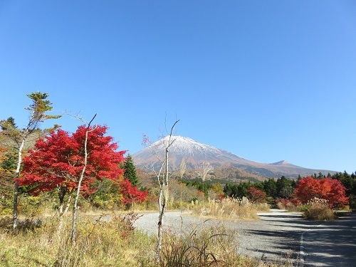 西臼塚駐車場からの富士山【富士宮市】：良く晴れた青空と紅葉景色