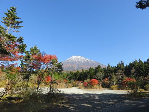 西臼塚駐車場からの富士山【富士宮市】：紅葉