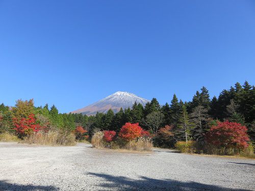 西臼塚駐車場からの富士山【富士宮市】：紅葉景色全体
