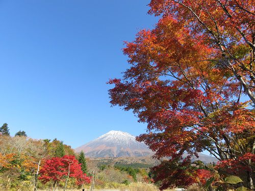 西臼塚駐車場からの富士山【富士宮市】：紅葉景色との共演
