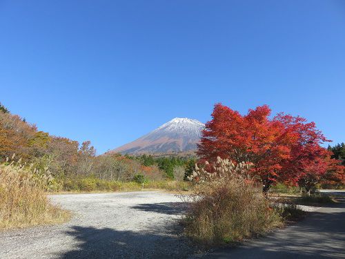 西臼塚駐車場からの富士山【富士宮市】：見頃の紅葉