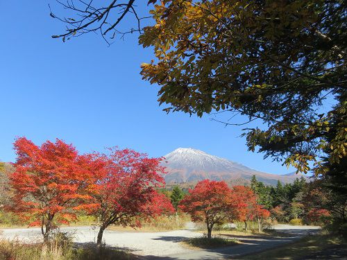 西臼塚駐車場からの富士山【富士宮市】：素晴らしい紅葉の彩り