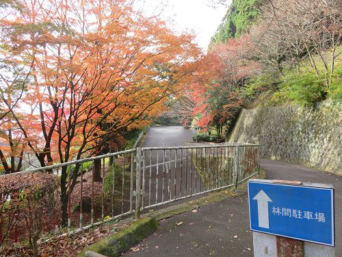 姫の沢公園、紅葉【熱海市】：林間駐車場