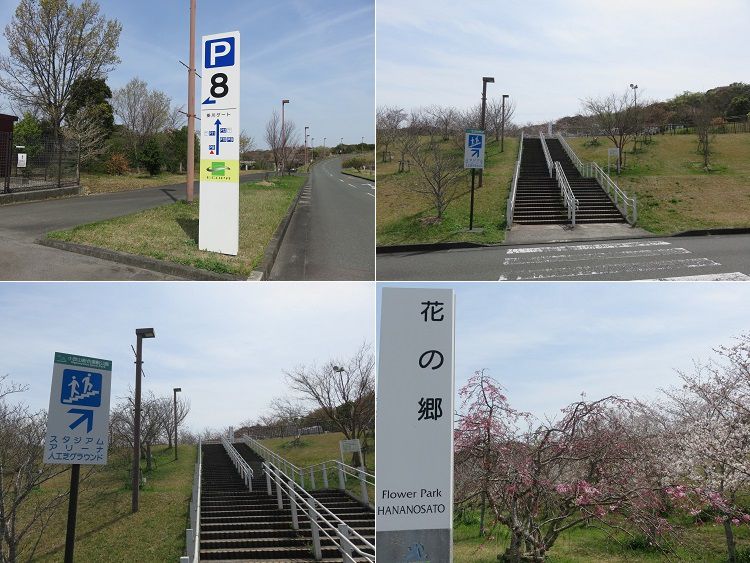 小笠山総合運動公園（エコパ）、桜【袋井市】：駐車場と花の郷