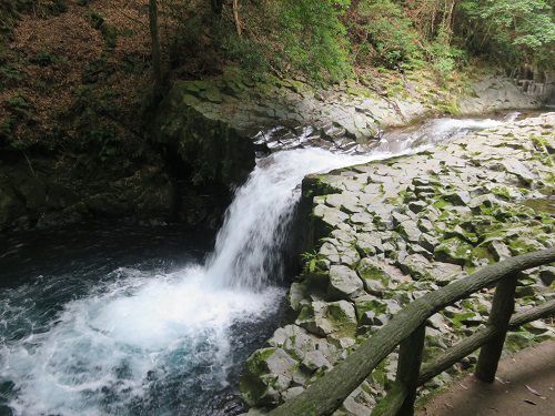 河津七滝、蛇滝（へびだる）【河津町】