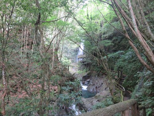 河津七滝、釜滝（かまだる）【河津町】