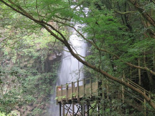 河津七滝、釜滝（かまだる）【河津町】①