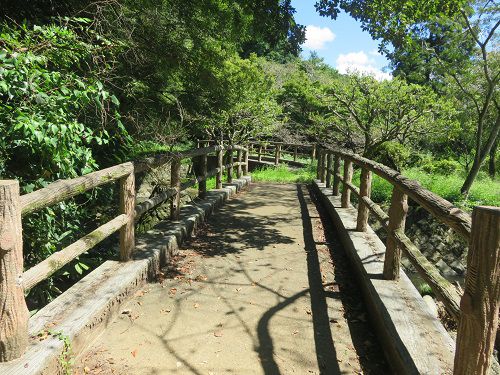 偕楽園（不動の滝）【裾野市】：橋