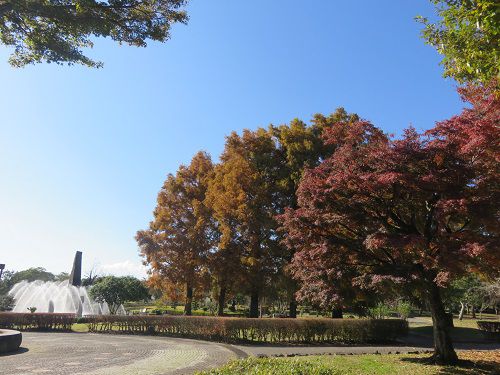 御殿場市中央公園、紅葉【御殿場市】：紅葉と好天