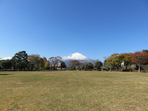 御殿場市中央公園、紅葉【御殿場市】：紅葉と富士山と緑の広場