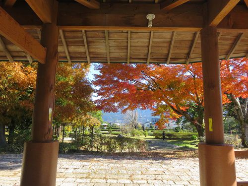 御殿場市中央公園、紅葉【御殿場市】：紅葉と日陰