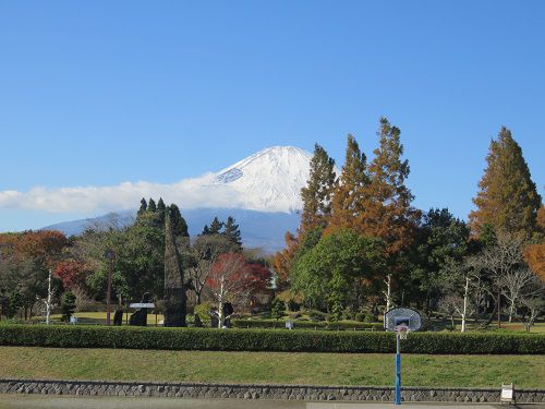 御殿場市中央公園、紅葉【御殿場市】：紅葉と富士山と雪