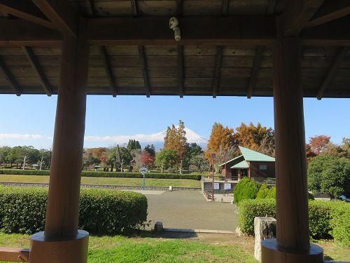 御殿場市中央公園、紅葉【御殿場市】：紅葉と東屋