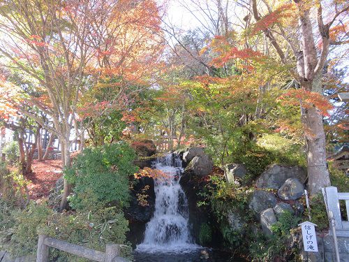 東口本宮 冨士浅間神社、紅葉【小山町】：滝と紅葉