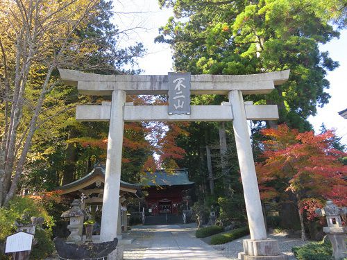 東口本宮 冨士浅間神社、紅葉【小山町】：紅葉と大鳥居