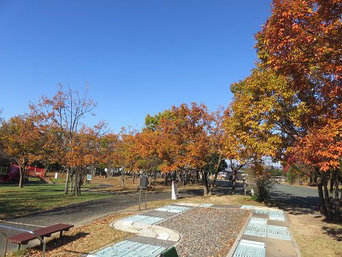 浜名湖ガーデンパーク、紅葉【浜松市】：こども広場の紅葉