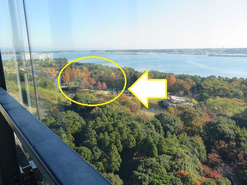 浜名湖ガーデンパーク、紅葉【浜松市】：遠望の紅葉