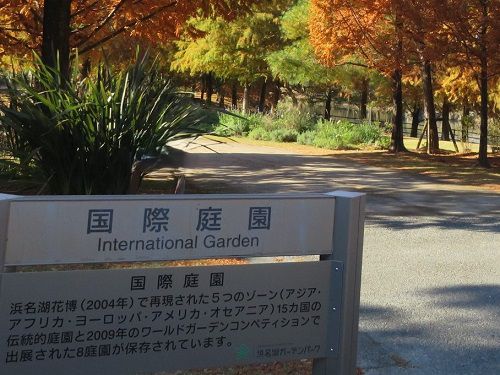 浜名湖ガーデンパーク、紅葉【浜松市】：国際庭園