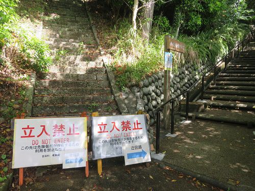 能満寺山公園、新緑【吉田町】：石段