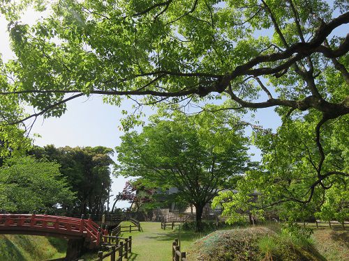 能満寺山公園、新緑【吉田町】：好天と新緑５