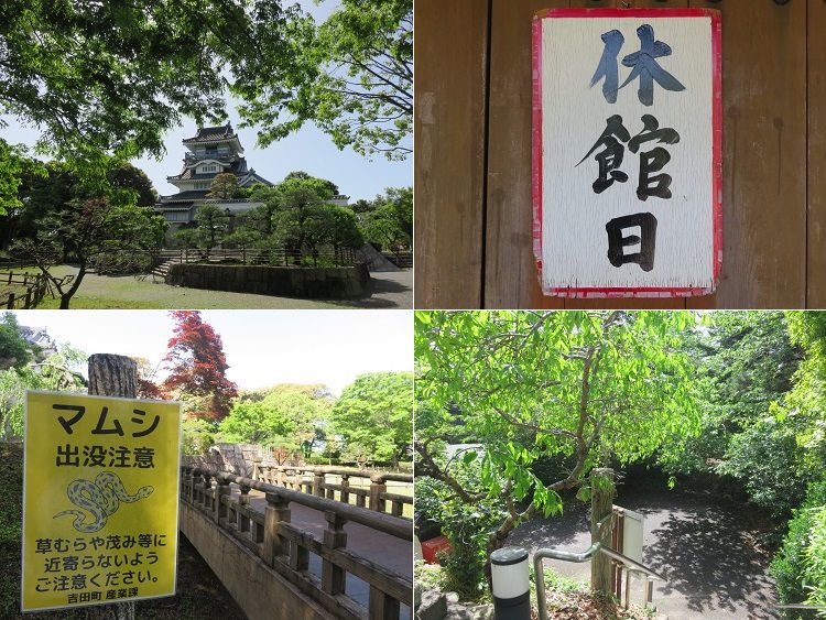 能満寺山公園、新緑【吉田町】：好天と新緑３
