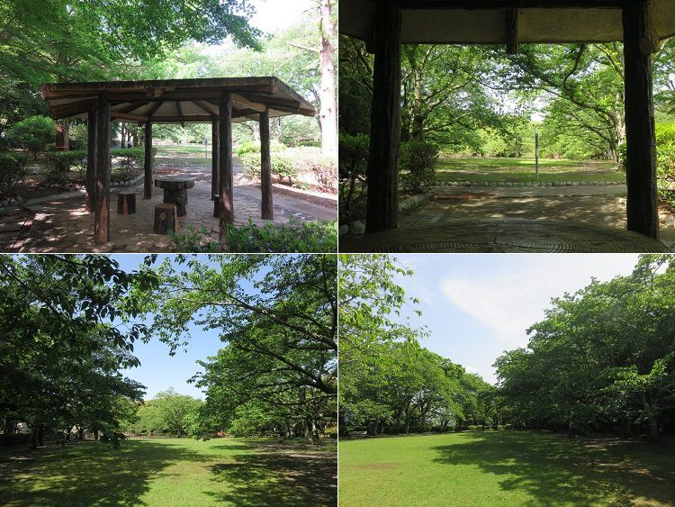 能満寺山公園、新緑【吉田町】：好天と新緑４