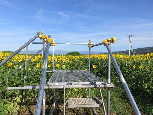 浮島ひまわり沼津市　展望台