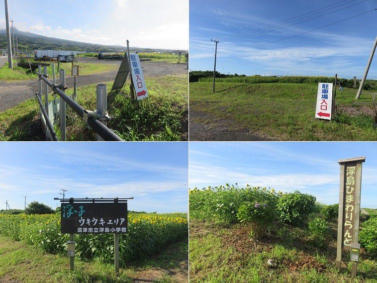 浮島ひまわり沼津市　臨時駐車場