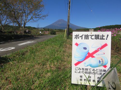 すそのパノラマロード「パノラマ遊花の里」コスモス（Part７）