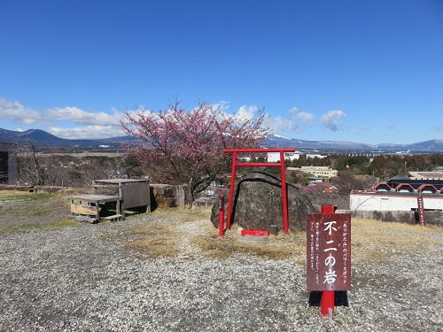 御殿場高原時之栖、河津桜【御殿場市】：不二の岩