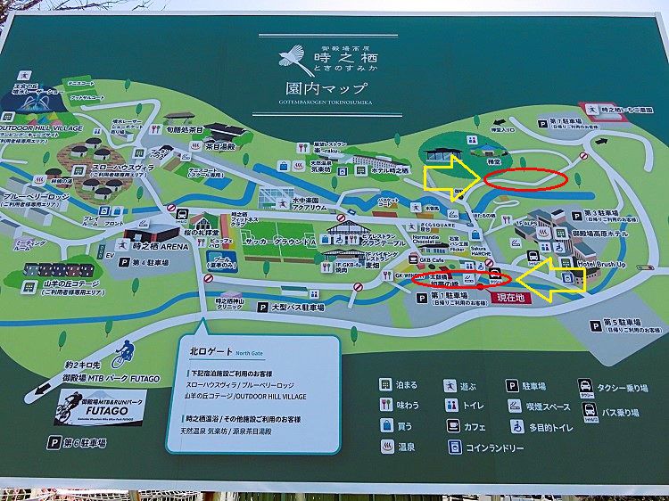 御殿場高原時之栖、河津桜【御殿場市】：現地案内図