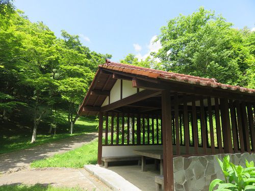 修善寺自然公園、新緑【伊豆市】５