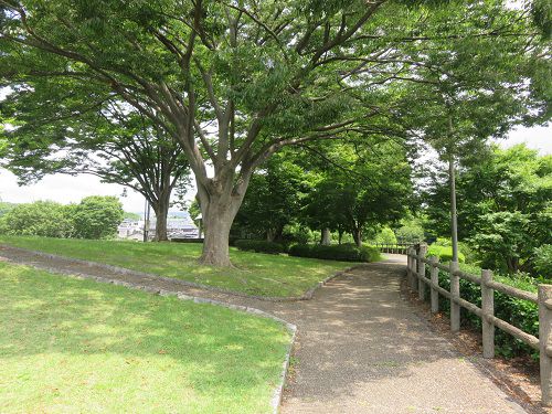 原田公園の新緑①