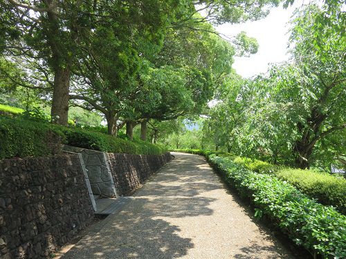 原田公園の新緑⓶