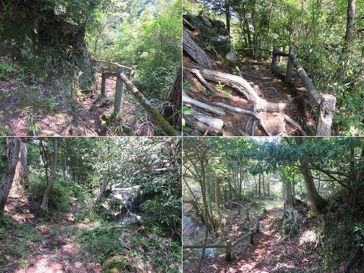 景ヶ島渓谷【裾野市】、緑