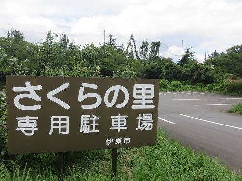 さくらの里、専用駐車場