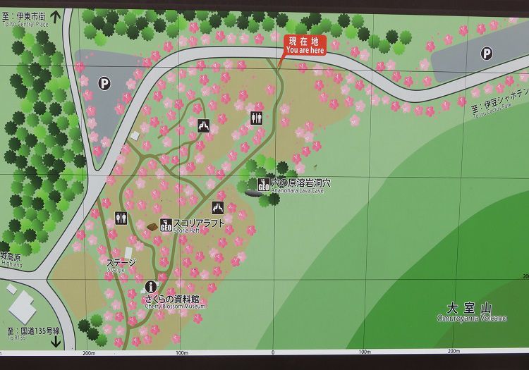 さくらの里、現地案内図