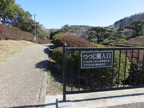 小室山公園、梅の花【伊東市】：つつじ園入口