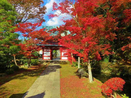 宝鏡寺の紅葉：赤く色付いていた紅葉景色