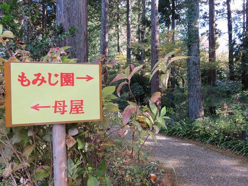 秩父宮記念公園の紅葉：もみじ園への誘導表示