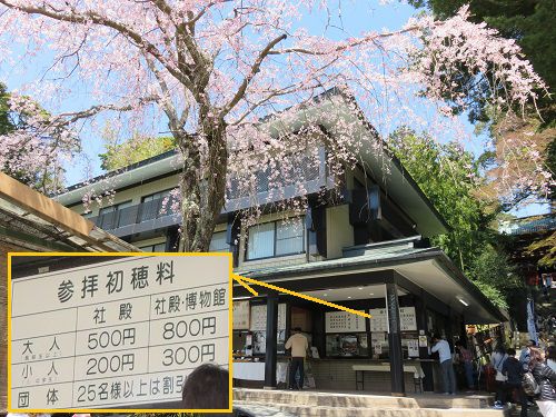 久能山東照宮の社務所と桜