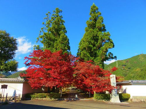 新光明寺の紅葉：見事に色付いていた紅葉景色