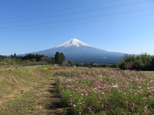 富士山ビュー：白糸自然公園での富士山ビュー