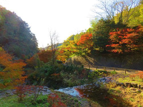 つたの細道公園の紅葉：橋を渡った向こう側から眺めた紅葉景色
