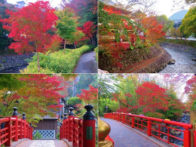 修善寺温泉街の紅葉の彩り